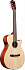ЭЛЕКТРОАКУСТИЧЕСКАЯ ГИТАРА IBANEZ AEG50N-NT – фото 2