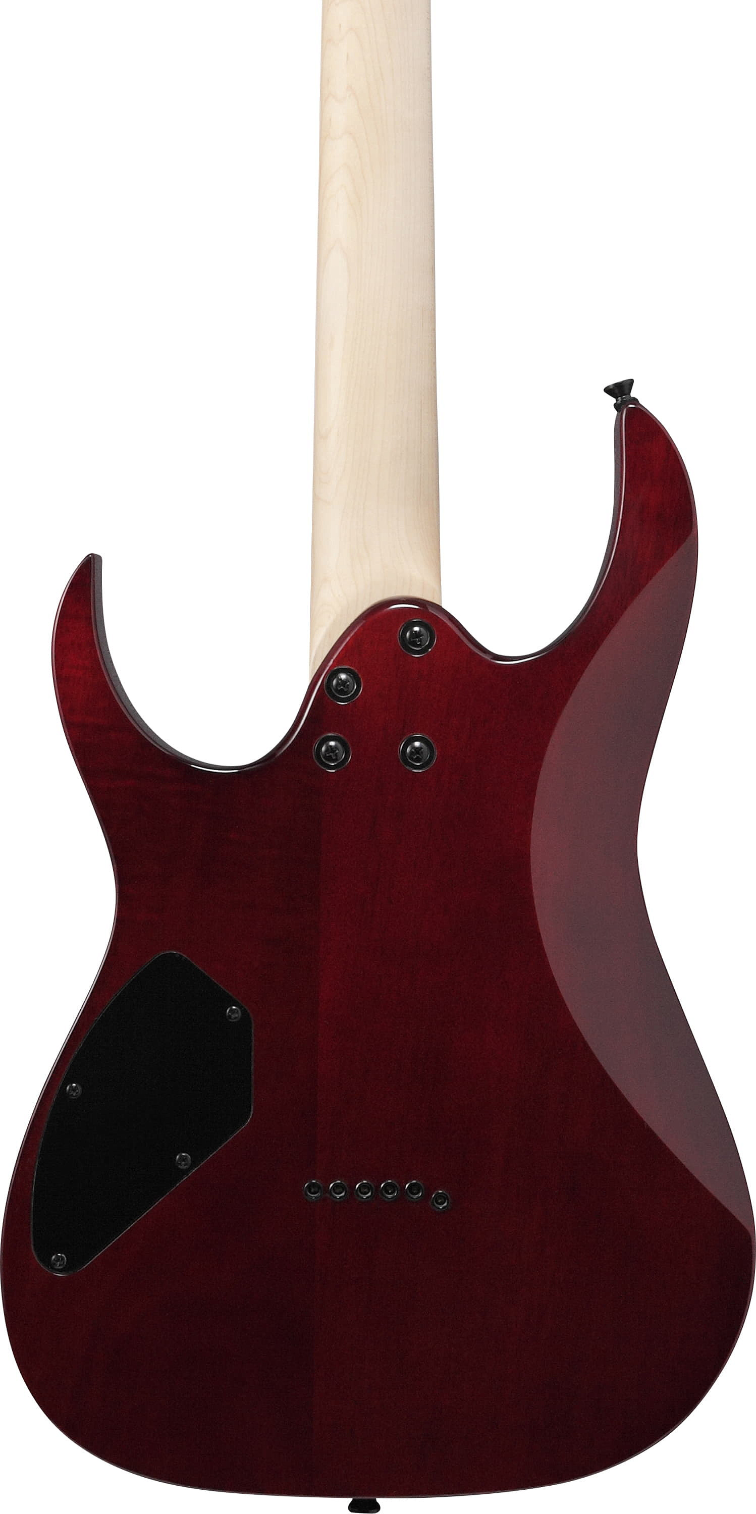 Электрогитара IBANEZ GRGR221PA-AQB – фото 4