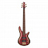 Бас-гитара IBANEZ SR305EDX-RGC – фото 1