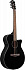ЭЛЕКТРОАКУСТИЧЕСКАЯ ГИТАРА IBANEZ AEG50-BK – фото 2