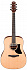 Акустическая гитара IBANEZ AAD50-LG – фото 1