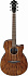 Электроакустическая гитара IBANEZ AEG61-NMH – фото 6