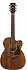 Электроакустическая гитара IBANEZ AVC9CE-OPN – фото 1
