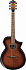 Электроакустическая гитара IBANEZ AEWC400-AMS – фото 1