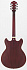 Ibanez AS53-TRF полуакустическая гитара – фото 2