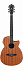 ЭЛЕКТРОАКУСТИЧЕСКАЯ ГИТАРА IBANEZ AEG7MH-OPN – фото 1