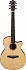 Электроакустическая гитара IBANEZ AEG200-LGS – фото 1