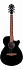 ЭЛЕКТРОАКУСТИЧЕСКАЯ ГИТАРА IBANEZ AEG50-BK – фото 1