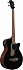 Электроакустическая бас-гитара IBANEZ AEGB24E-BKH – фото 2