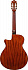 ЭЛЕКТРОАКУСТИЧЕСКАЯ ГИТАРА IBANEZ AEG50N-NT – фото 3
