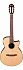 ЭЛЕКТРОАКУСТИЧЕСКАЯ ГИТАРА IBANEZ AEG50N-NT – фото 1