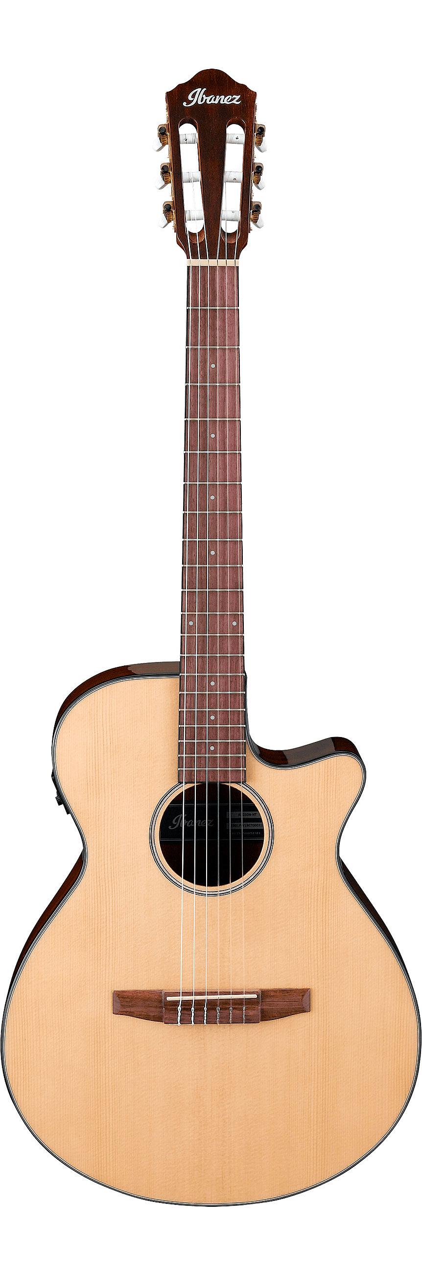 ЭЛЕКТРОАКУСТИЧЕСКАЯ ГИТАРА IBANEZ AEG50N-NT | Продукция IBANEZ