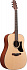 Акустическая гитара IBANEZ AAD50-LG – фото 2